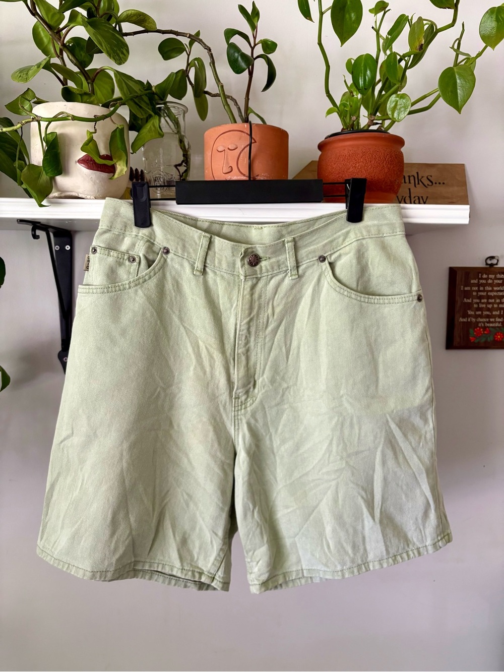 chic Mint Green High-Rise Jean Shorts